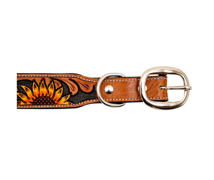 Sunflower Tooled Leather Dog Collar
