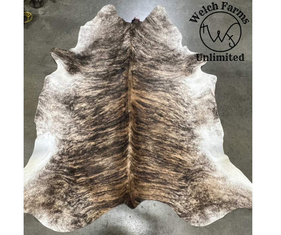 ***SOLD***Large Brindle Cowhide #4