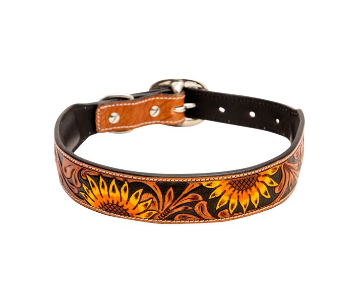 Sunflower Tooled Leather Dog Collar