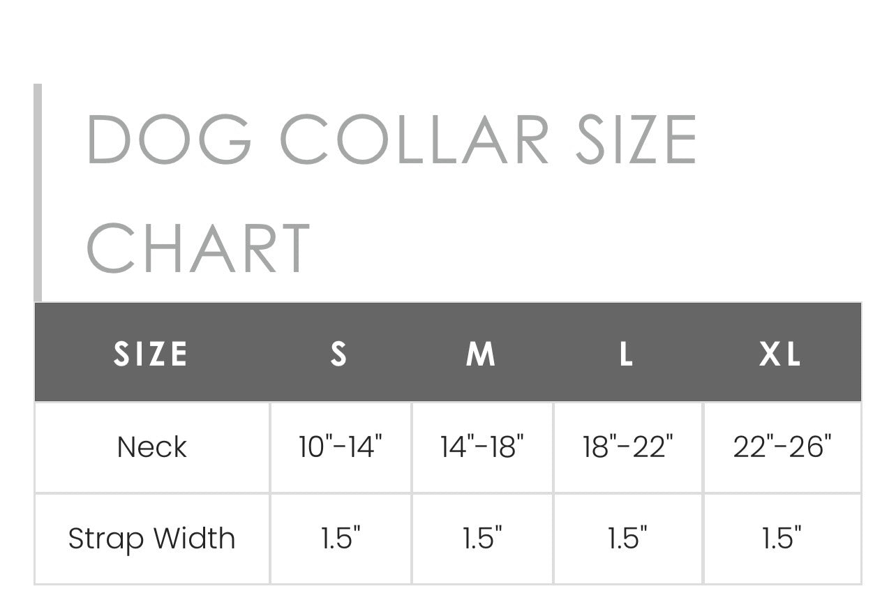 Prairie Sunflower Hand -Tooled Leather Dog Collat