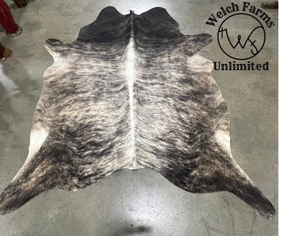 Large Brindle Cowhide Rug #8