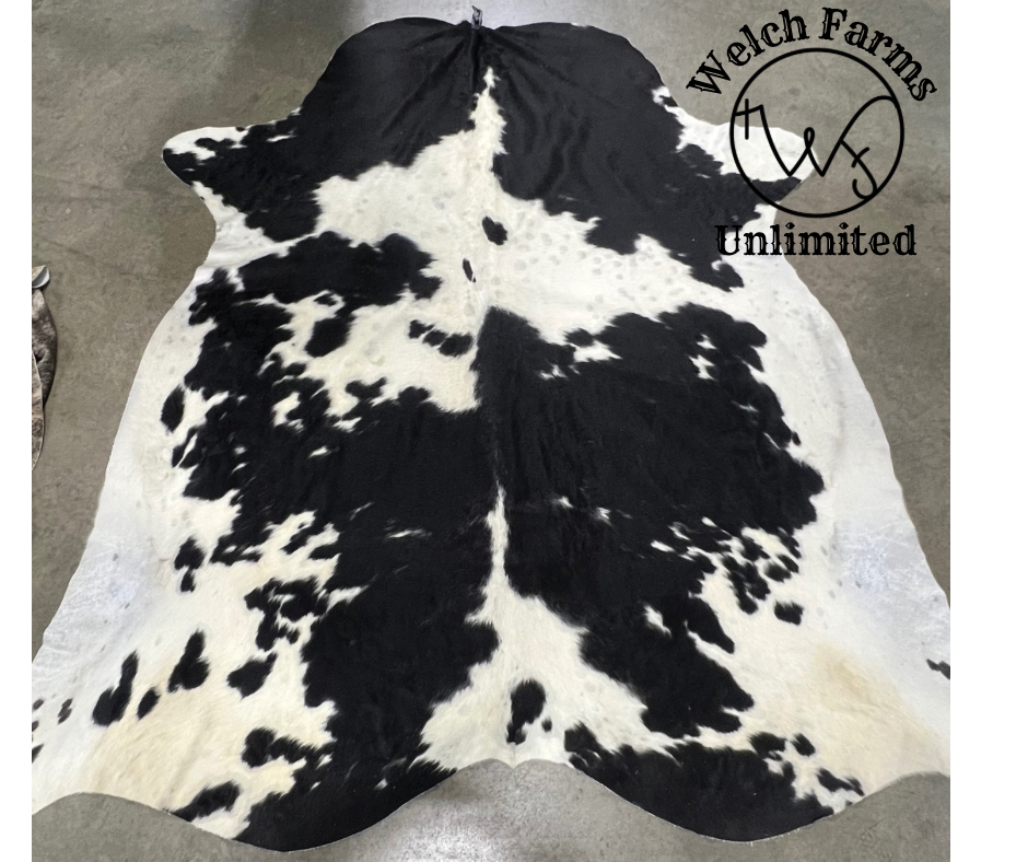 Large Black and White Spotted Cowhide Rug #6