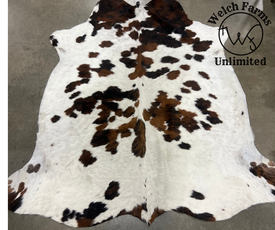 Large Tri-color CowHide #2