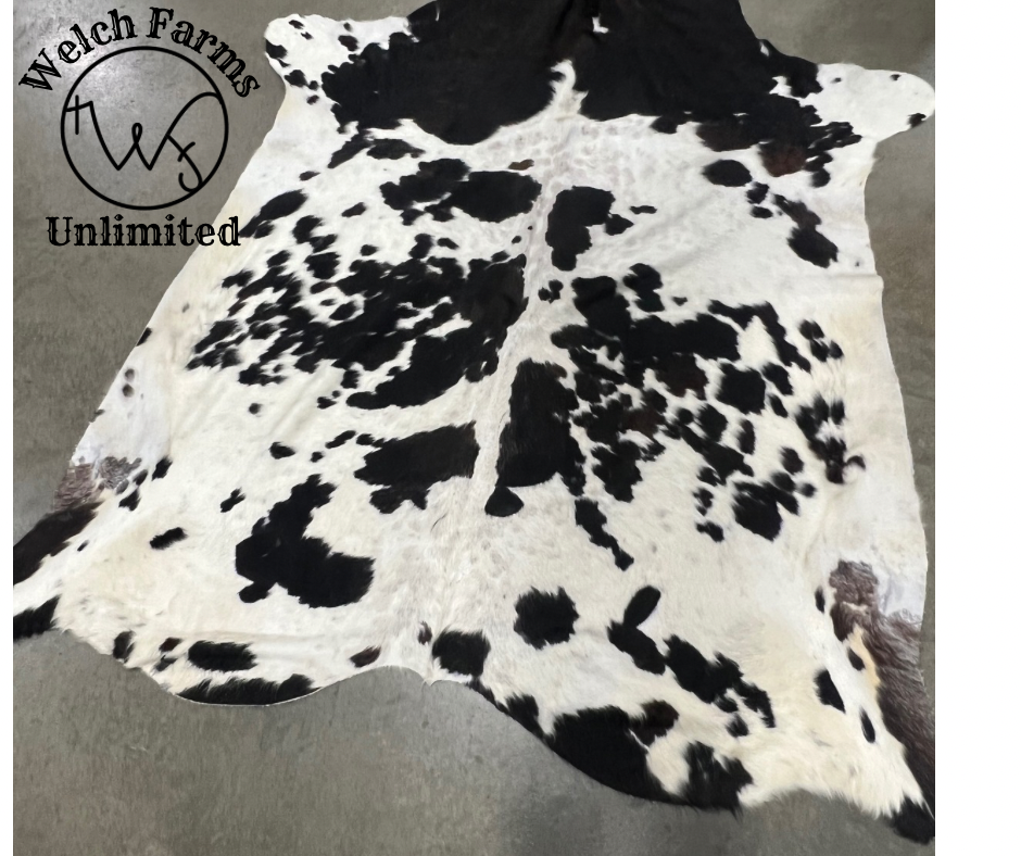 Large Black and White spotted Cowhide Rug #1