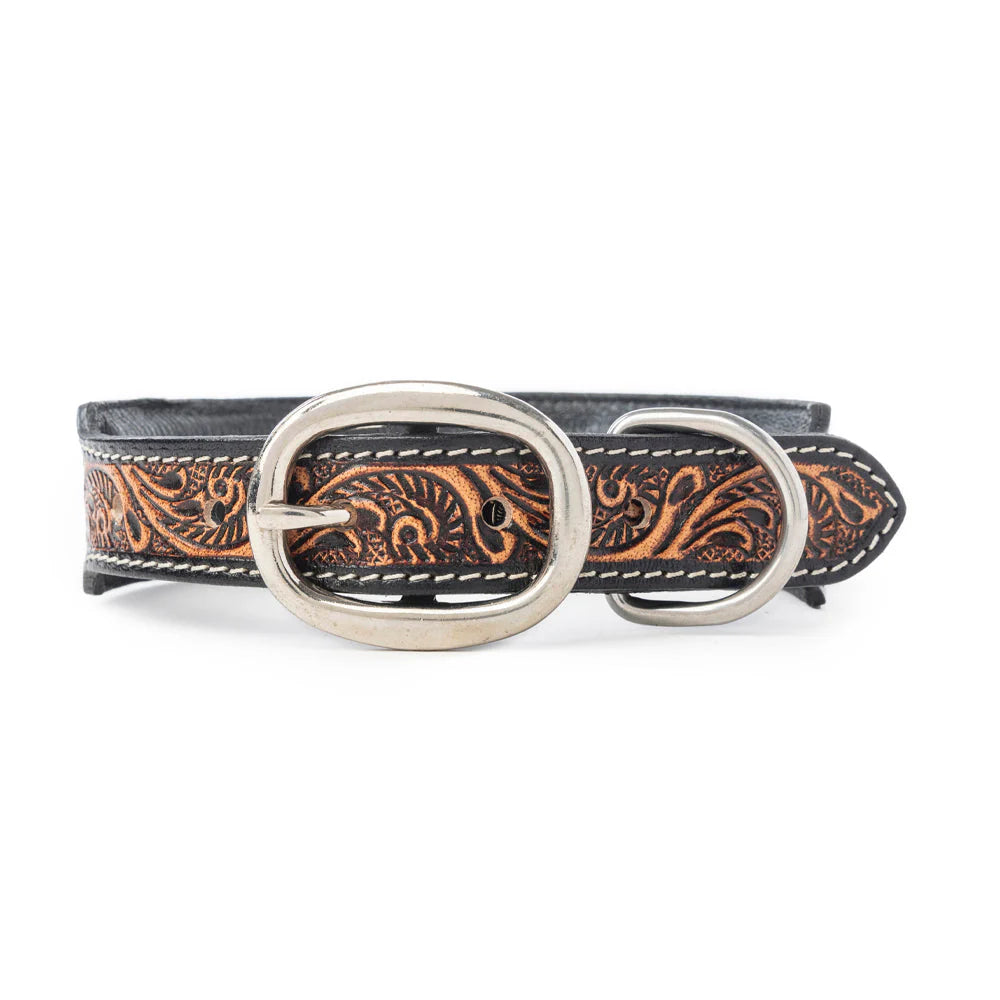 Tooled in Turquoise Hand-tooled Leather Dog Collar with turquoise stitch