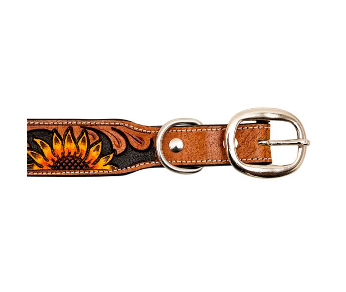 Sunflower tooled leather Dog Collar