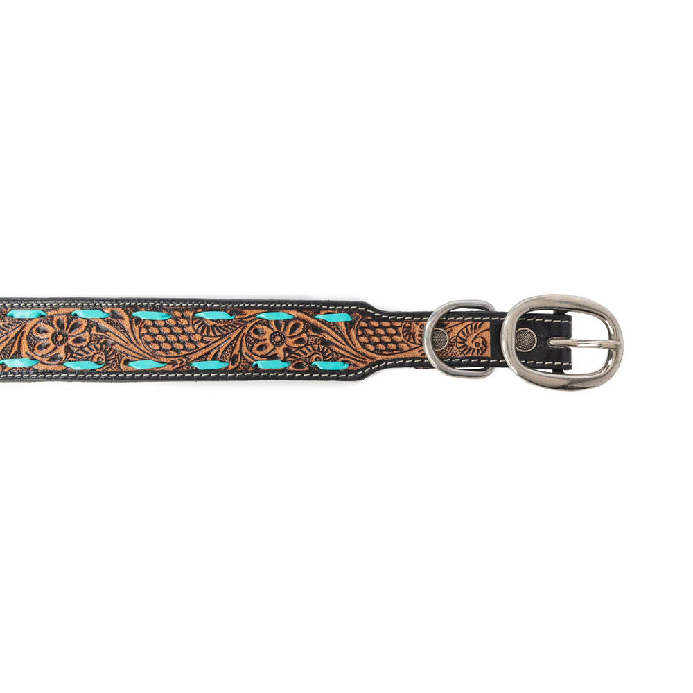 Tooled in Turquoise Hand-tooled Leather Dog Collar with turquoise stitch
