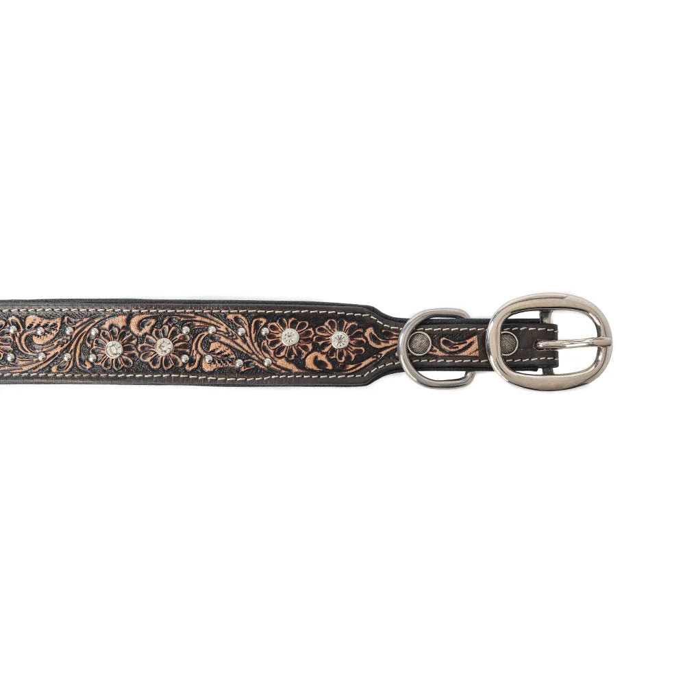 Midnight Western Sparkle Dog Collar