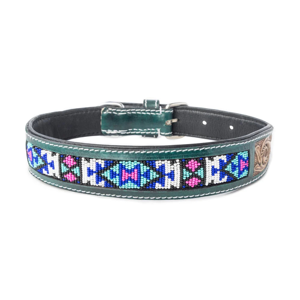Turquoise Blossom Western Dog