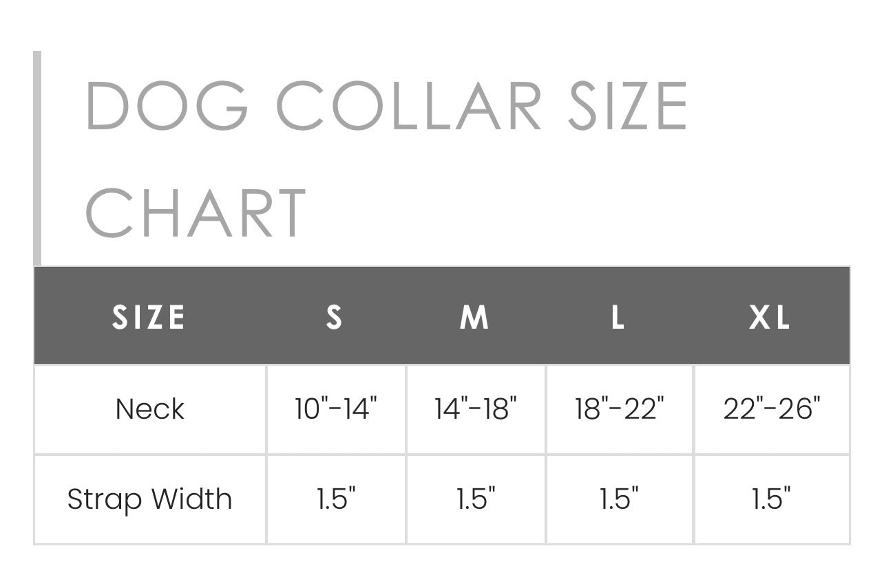 White Stitched Hand-Tooled Leather Dog Collar