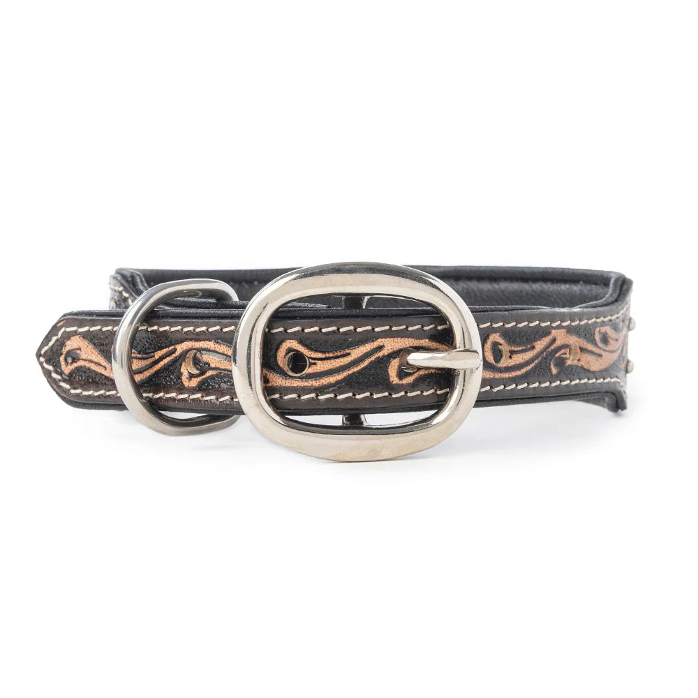 Midnight Western Sparkle Dog Collar