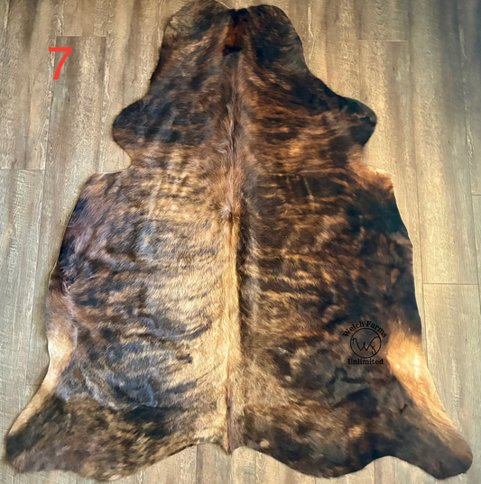 Brindle Cow Hide with Light Golden inlay #7
