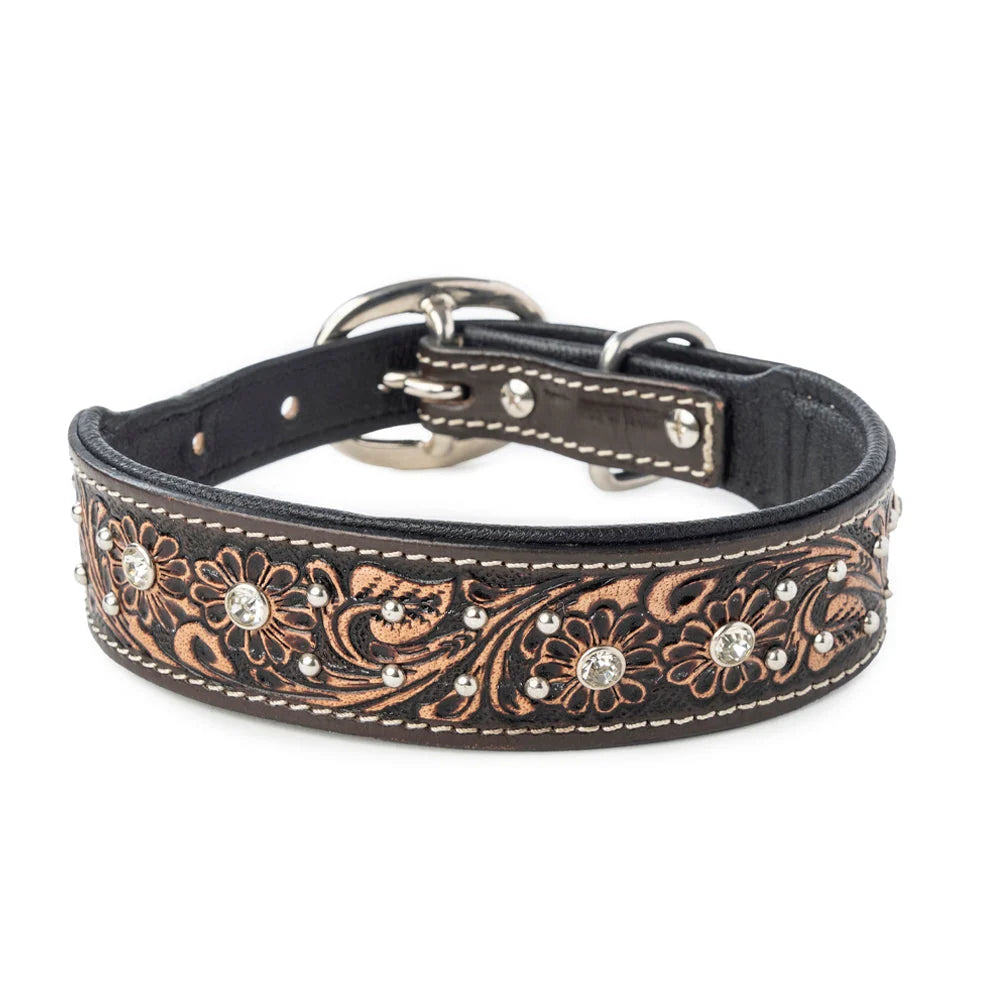 Midnight Western Sparkle Dog Collar