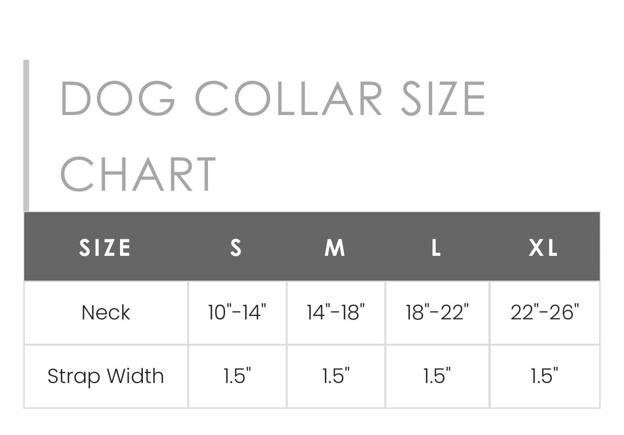 Tooled in Turquoise Hand-tooled Leather Dog Collar with turquoise stitch