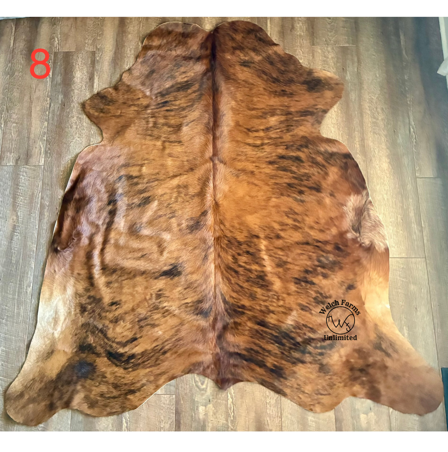 Light Brindle Cow Hide #8