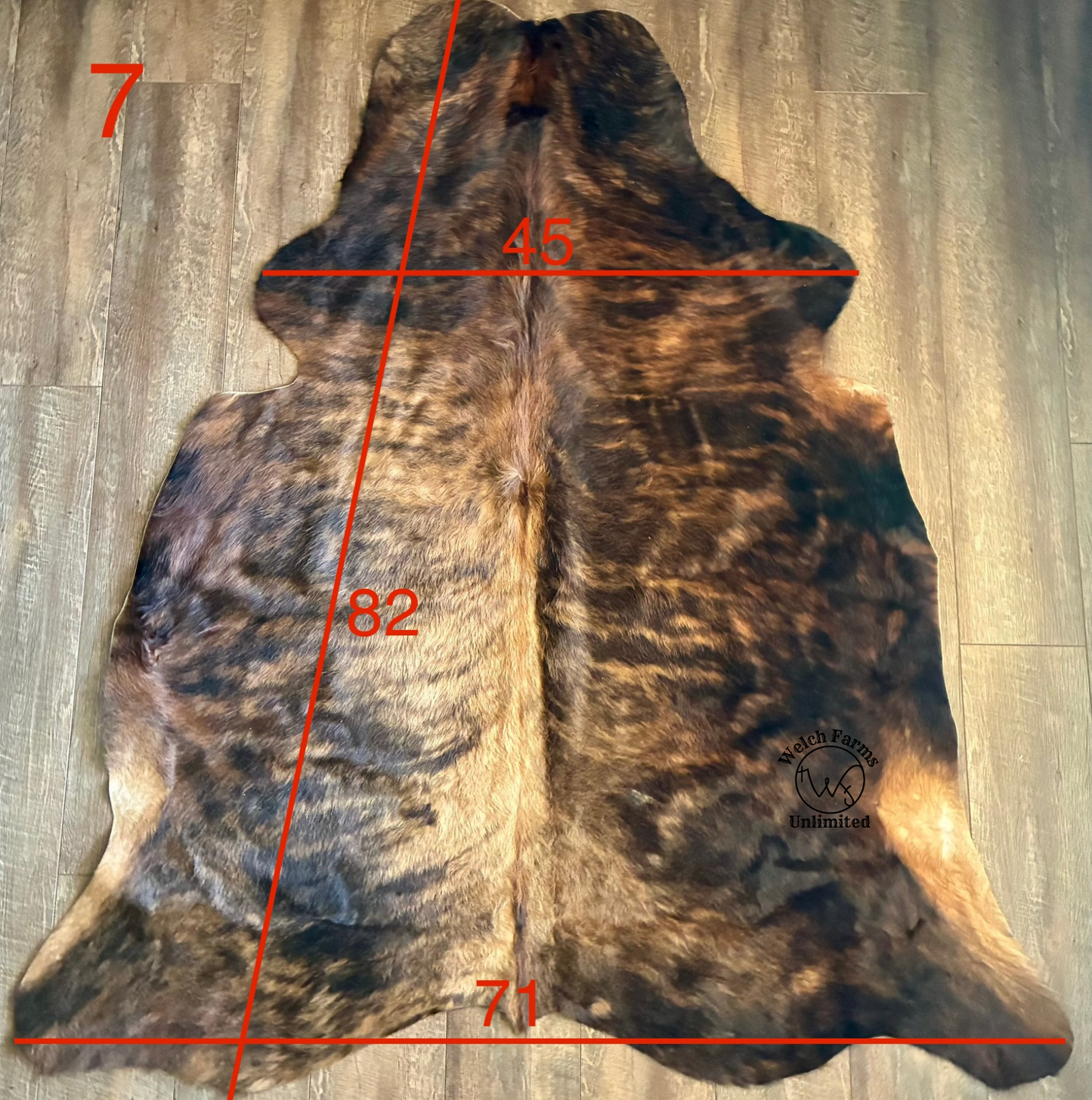 Brindle Cow Hide with Light Golden inlay #7