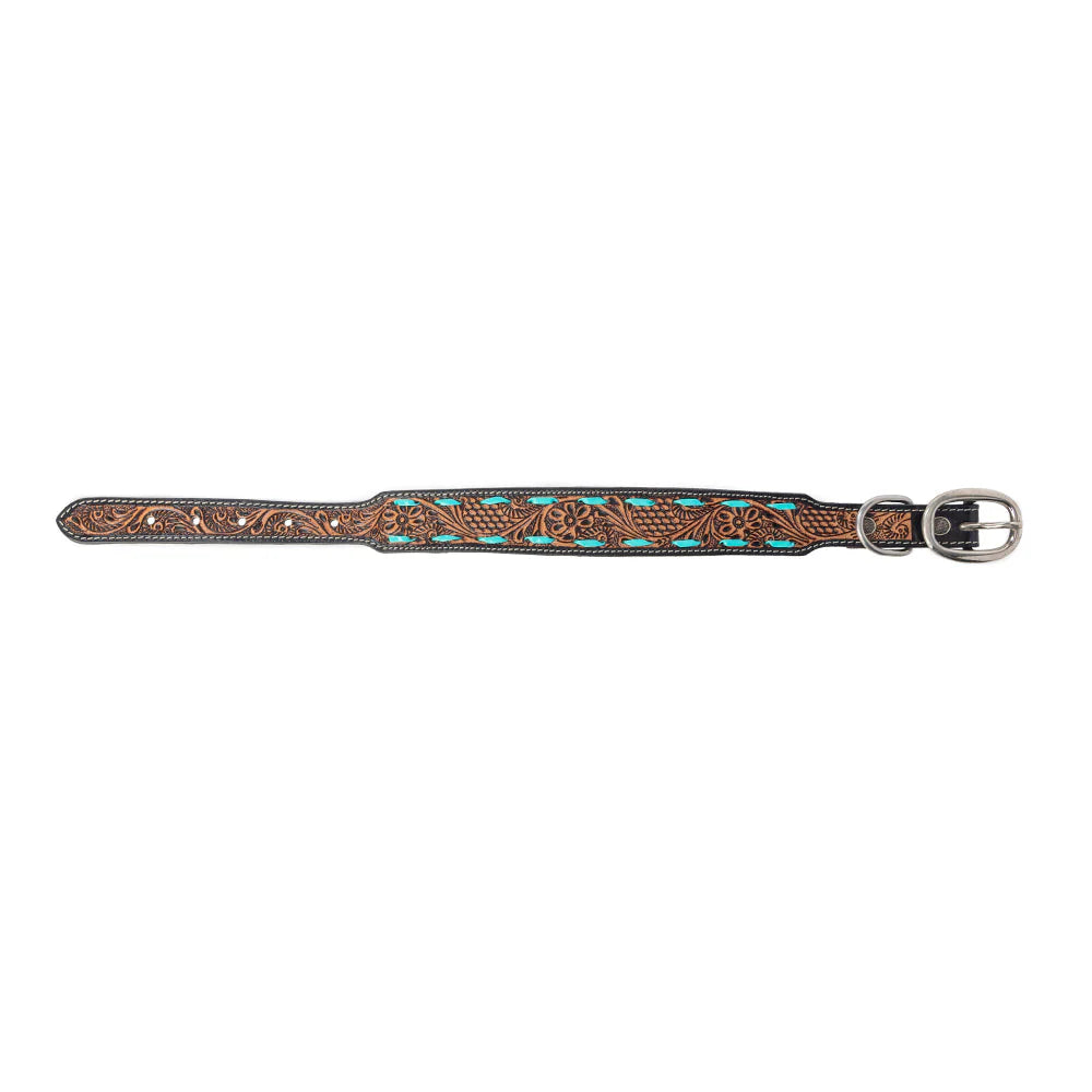 Tooled in Turquoise Hand-tooled Leather Dog Collar with turquoise stitch