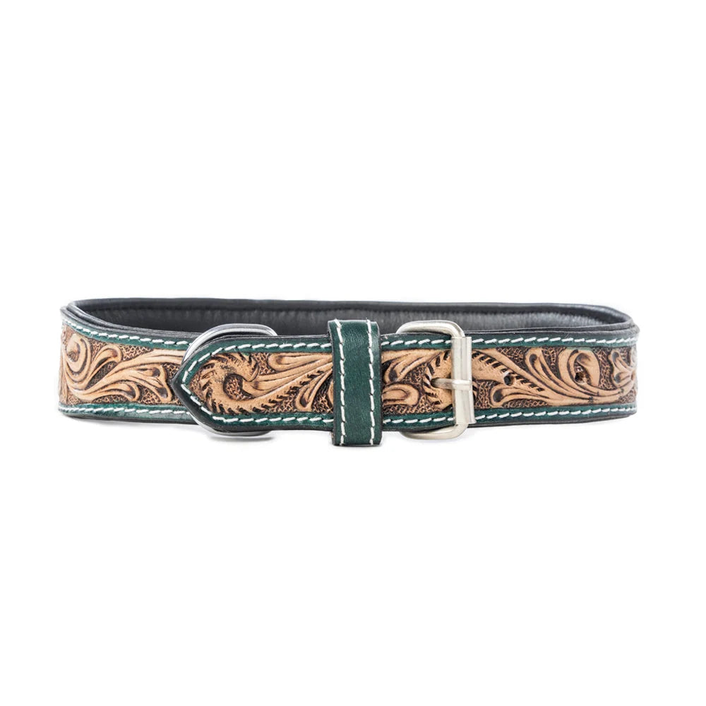 Turquoise Blossom Western Dog