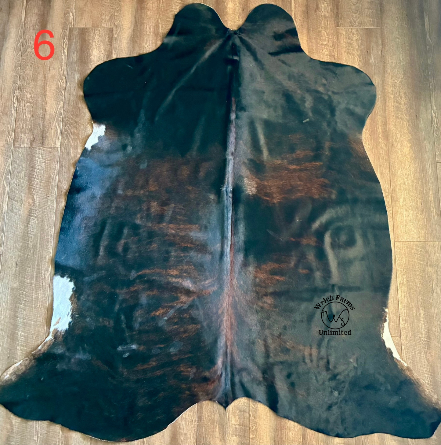 Dark Cowhide with red inlay brindle #6