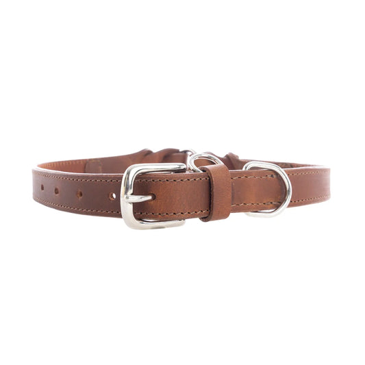 Topside In Chocolate Leather Dog Collar