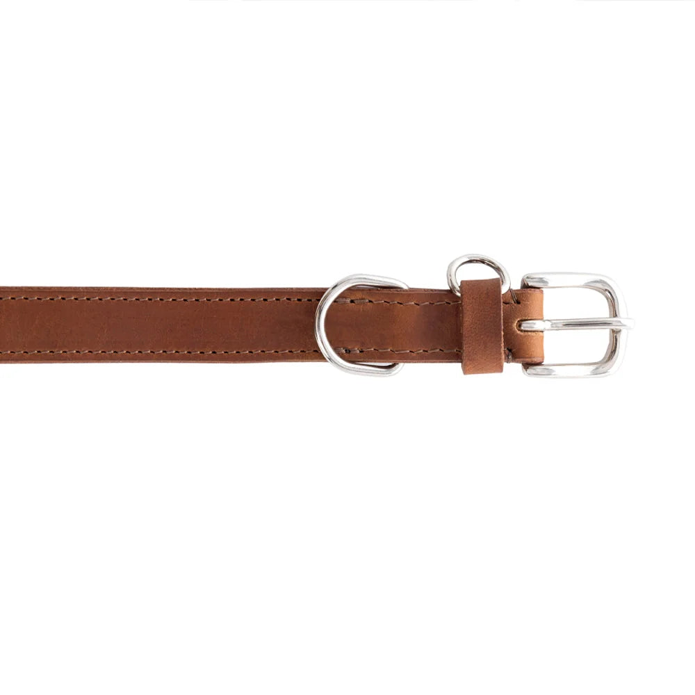Topside In Chocolate Leather Dog Collar